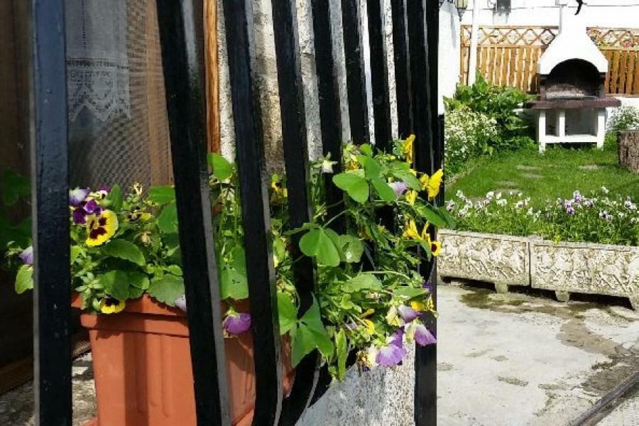 Casa Rural Zubiarena Satrustegui Eksteriør billede